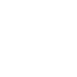 white gemini icon